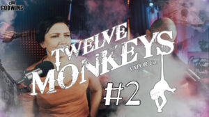 Twelve Monkeys #2