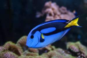 22 22